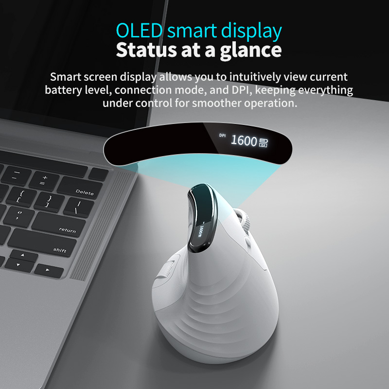 TM-023 Wireless Vertical Mouse